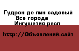 Гудрон де пин садовый - Все города  »    . Ингушетия респ.